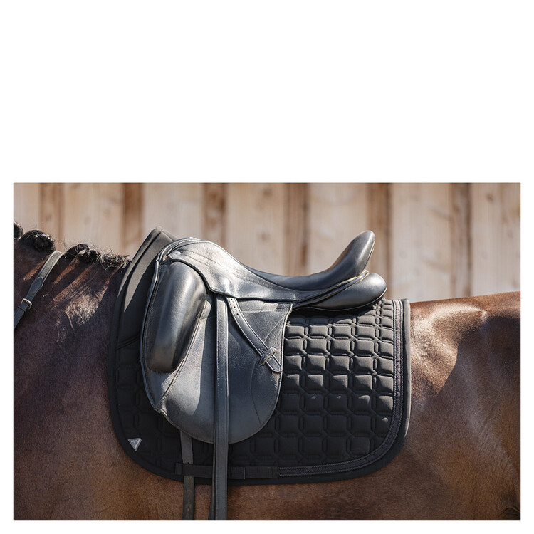 Anky Zadeldek Luminous Dressage