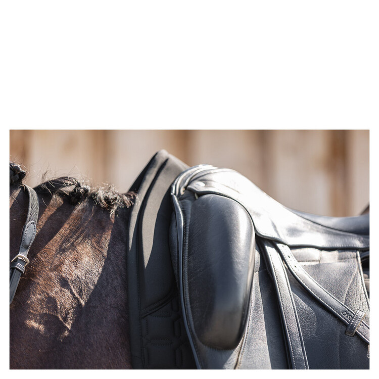 Anky Zadeldek Luminous Dressage