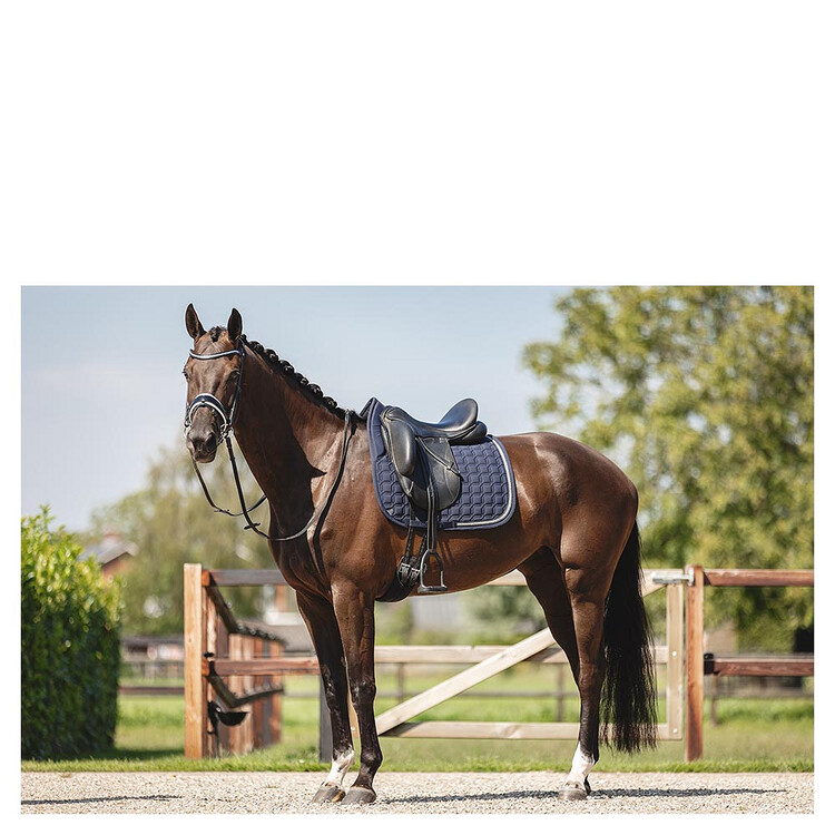 Anky Zadeldek Luminous Dressage