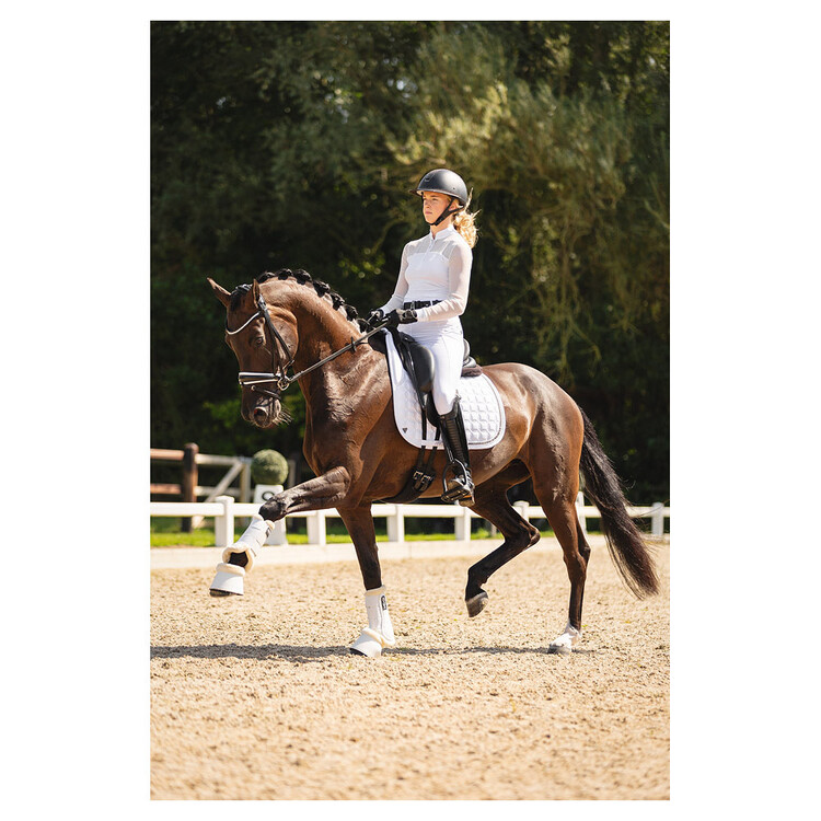 Anky Zadeldek Luminous Dressage