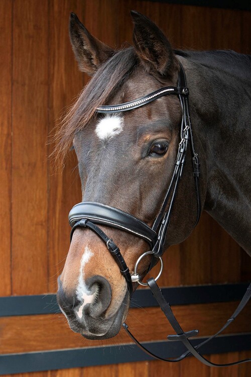Harry's Horse Hoofdstel Petit Crystal