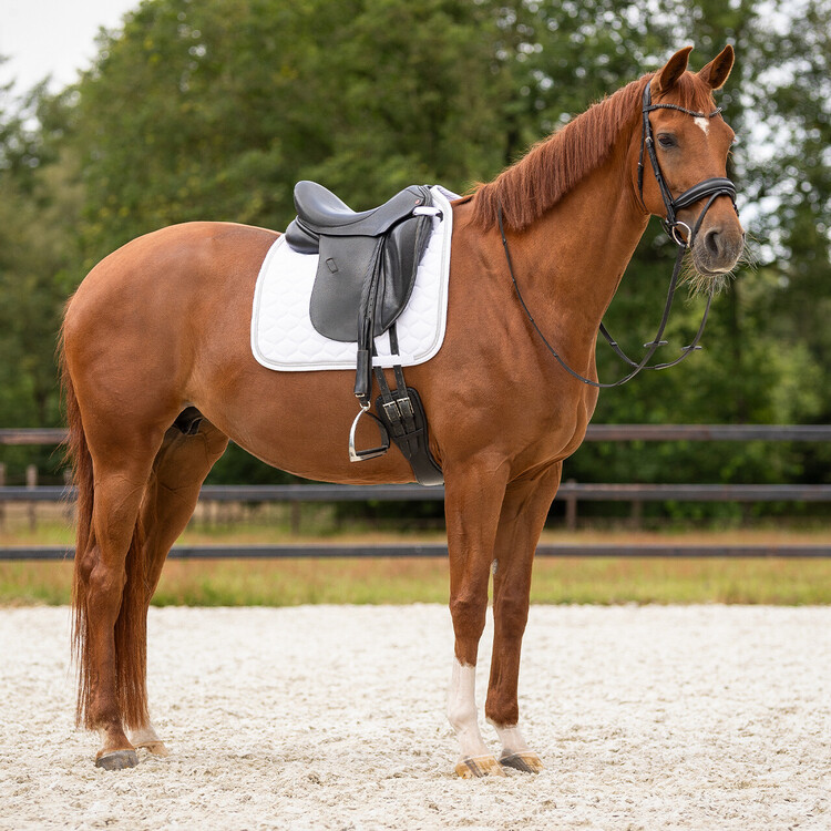 QHP Zadeldek Sparkle