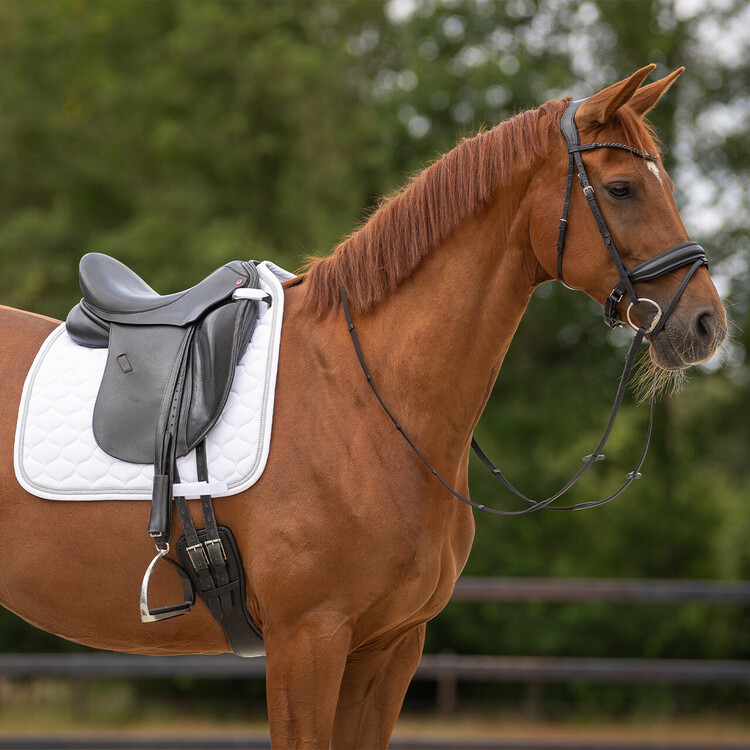 QHP Zadeldek Sparkle