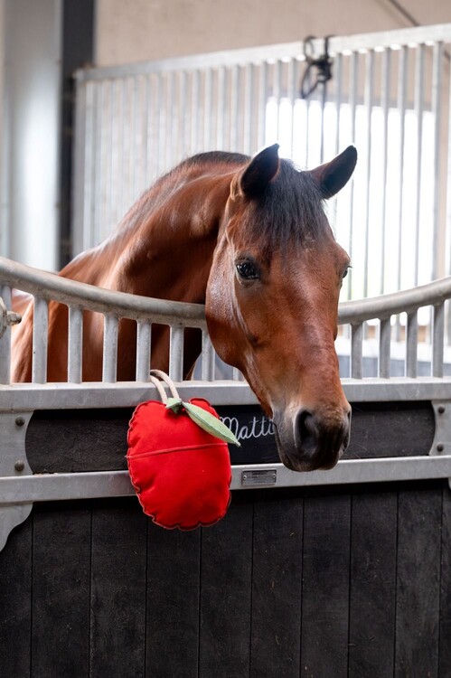 HB Showtime Paardenspeelgoed Appel