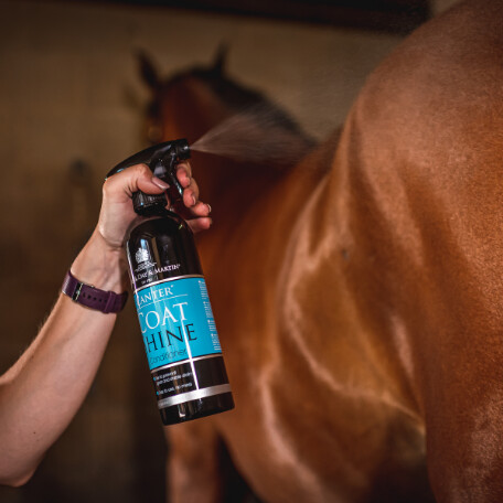 Carr & Day & Martin Canter Coat Shine Conditioner | 500ml