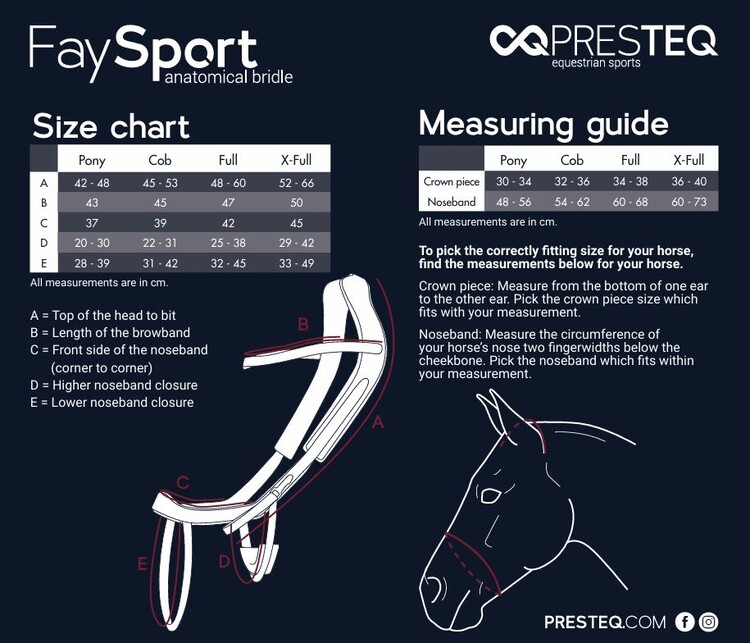 PresTeq Hoofdstel FaySport Shine