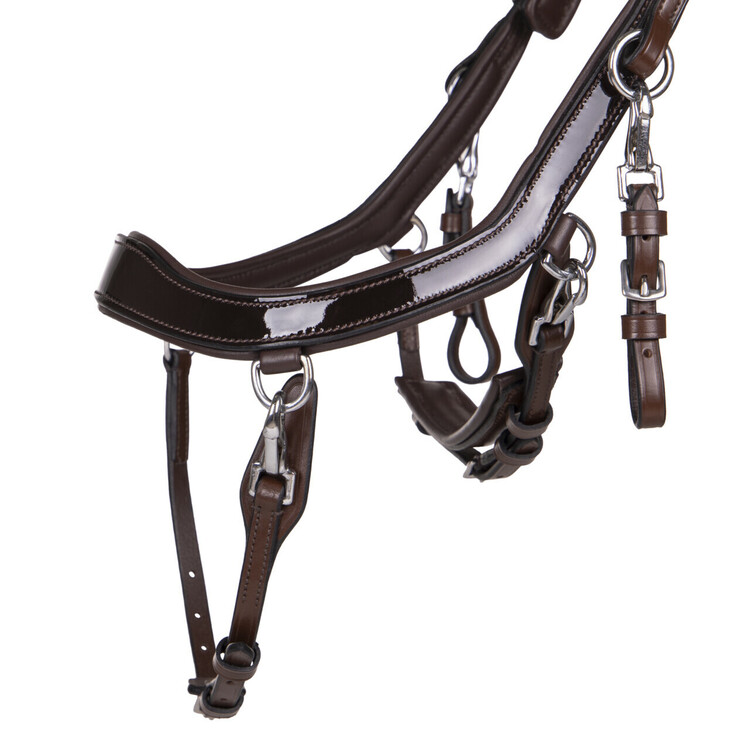 PresTeq Hoofdstel FaySport Shine