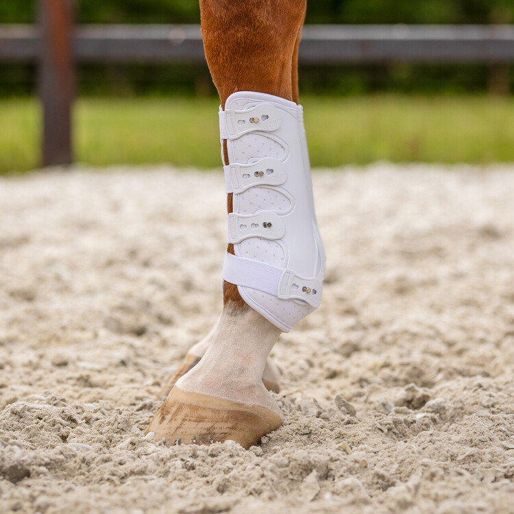 QHP Voorbeenbeschermers Champion