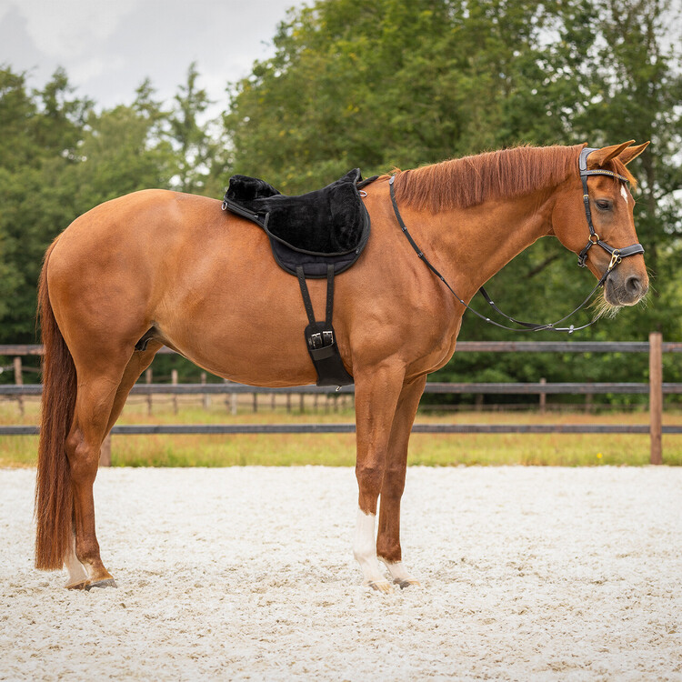 QHP Bareback pad super soft