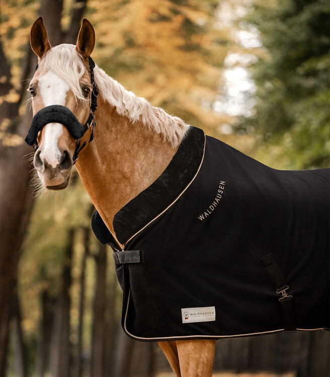 Waldhausen Fleecedeken Modern Rosé
