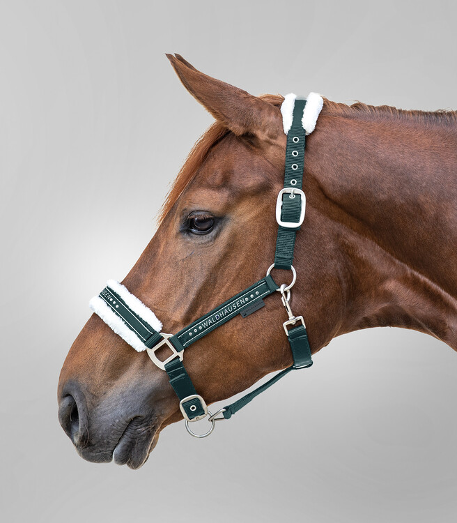 Waldhausen Halster Elegant