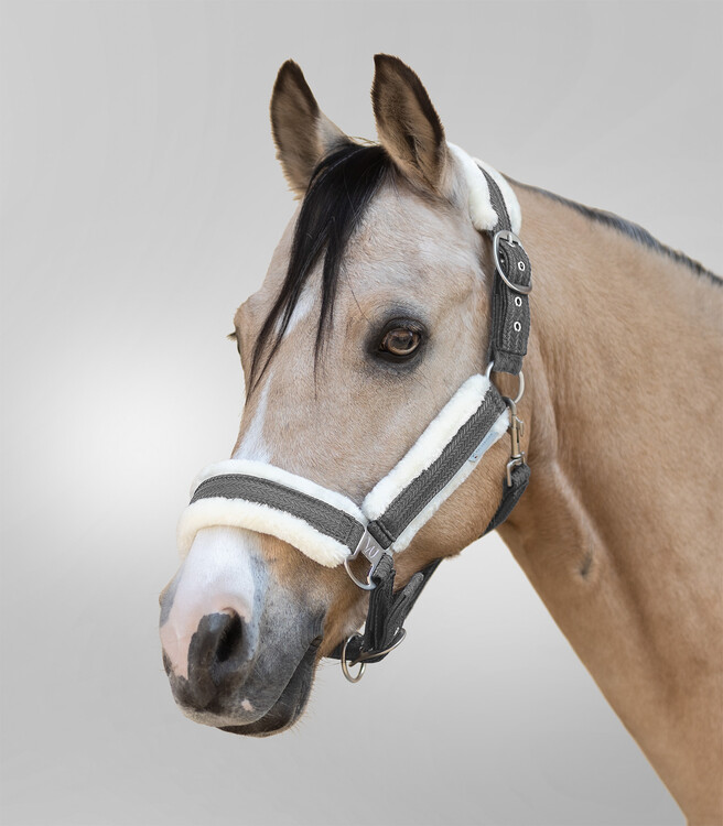 Waldhausen Halster Sparkle