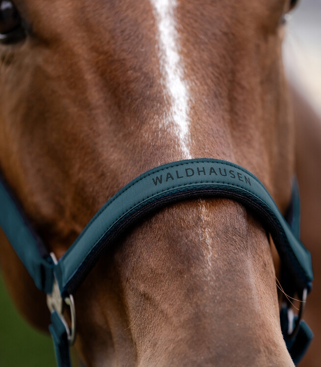 Waldhausen Athletic halster