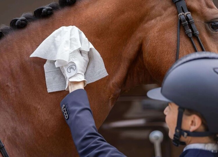 HB Horse Wipes Natural Clean XXL 