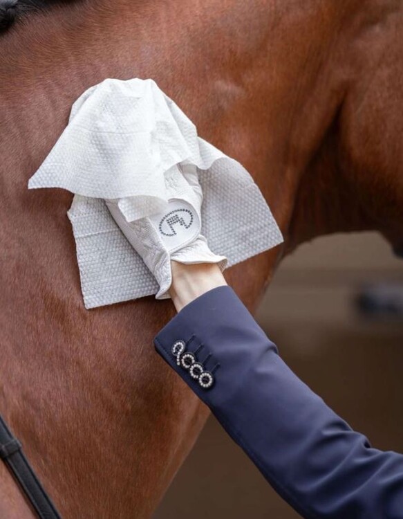 HB Horse Wipes Natural Clean XXL 