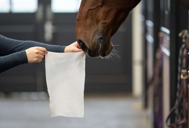 HB Horse Wipes Natural Clean XXL 