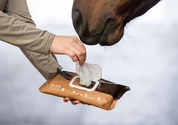 HB Horse Wipes Natural Clean XXL 