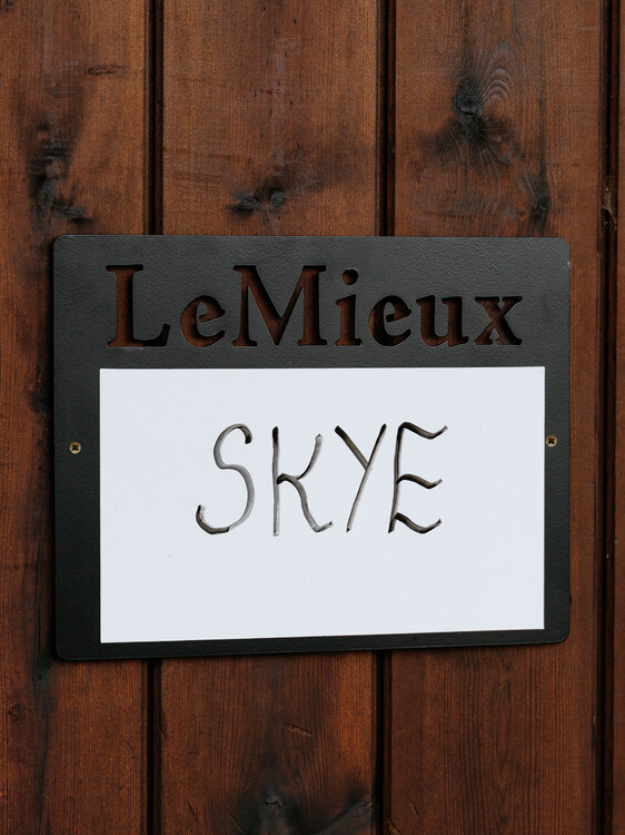 LeMieux Magnetisch Stal Whiteboard
