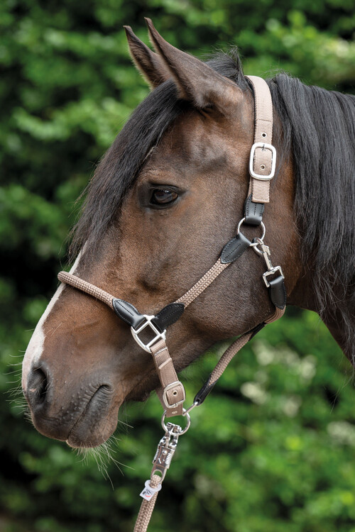 HKM Halster Carlotta