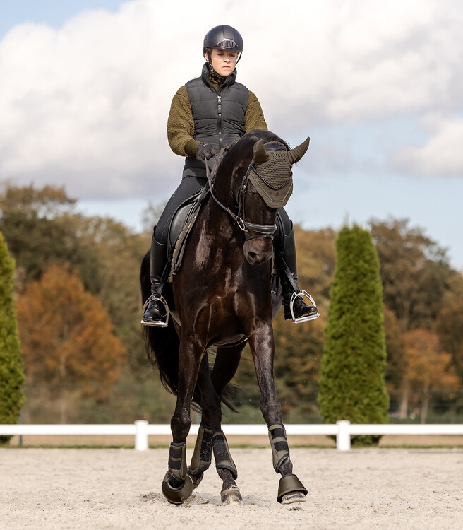 Waldhausen Comfort Fit Dressuur beschermers