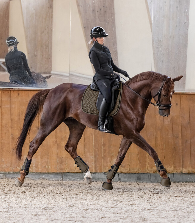 Waldhausen Comfort Fit Dressuur beschermers