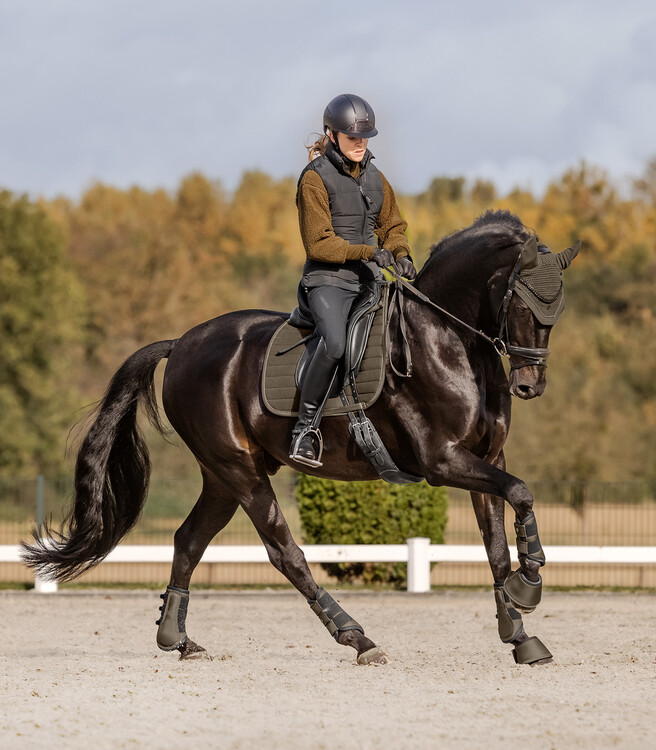 Waldhausen Comfort Fit Dressuur beschermers