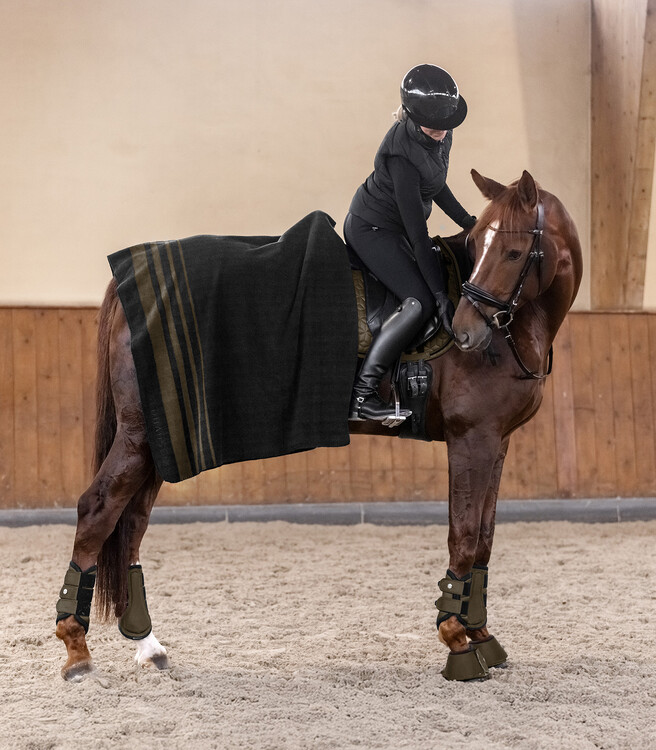 Waldhausen Comfort Fit Dressuur beschermers