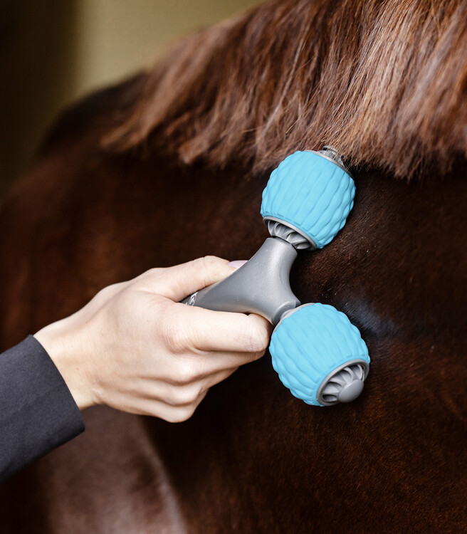 Waldhausen Health + Care Comfort Creator Massage roller