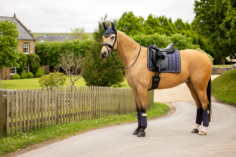 LeMieux Loire Classic Dressuur Zadeldek 