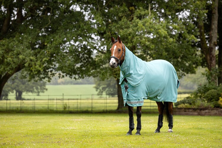 LeMieux Arika Ripstop 0 g Turnout Regendeken