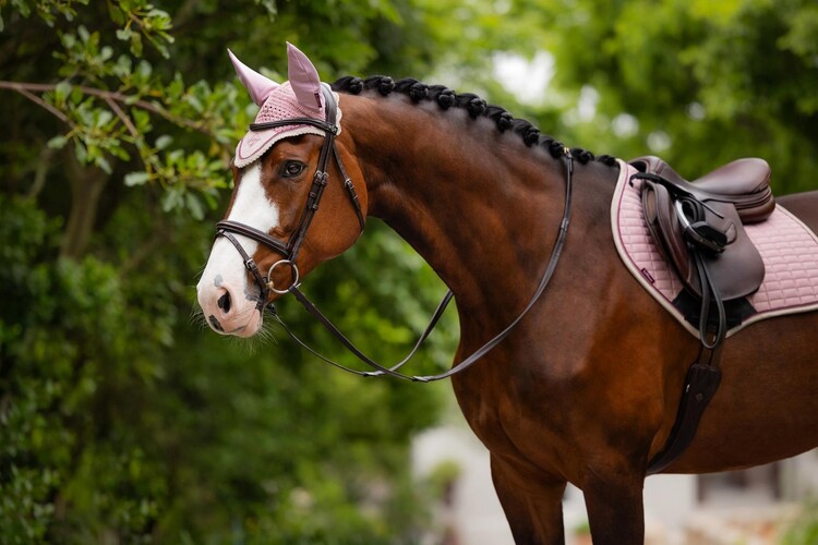 LeMieux Classic Oornetje