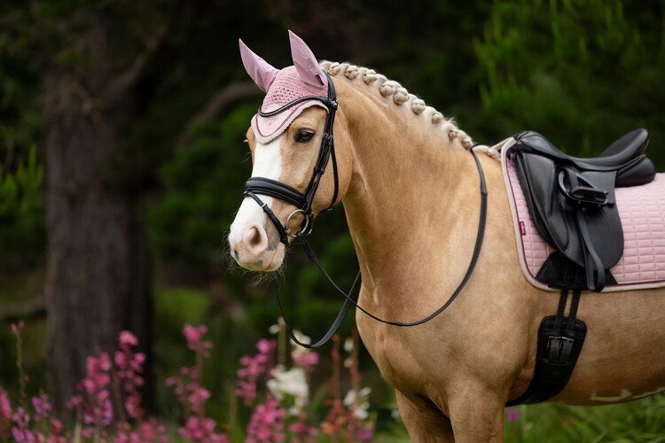 LeMieux Classic Oornetje