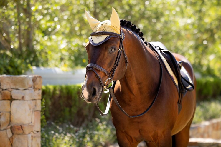 LeMieux Classic Oornetje