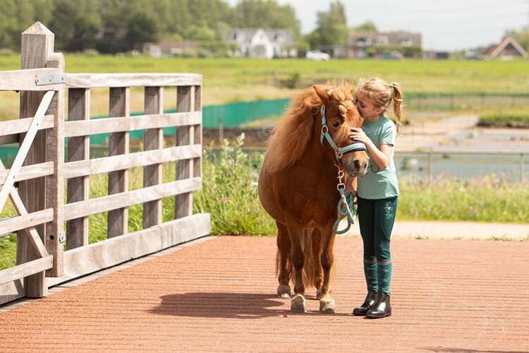 Harry's Horse Rijbroek Equitights LouLou Daisy Full grip