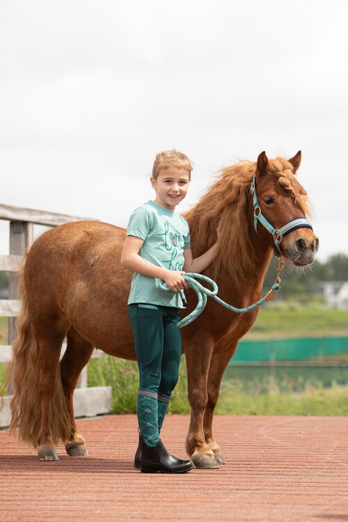 Harry's Horse Shirt LouLou Hannah