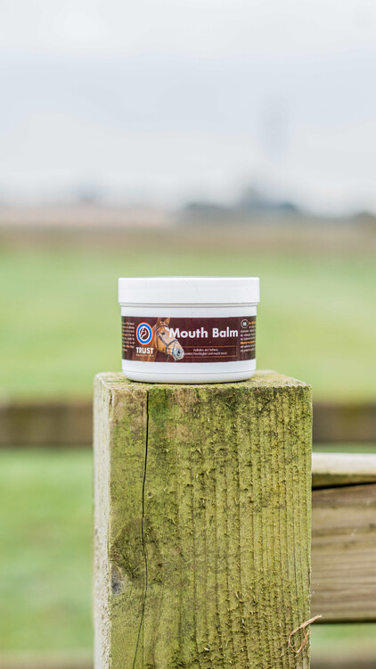 Trust Mondbalsem 150ml