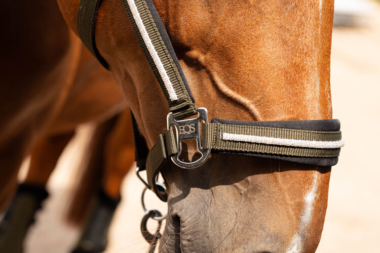 Harry's Horse Halsterset Valli