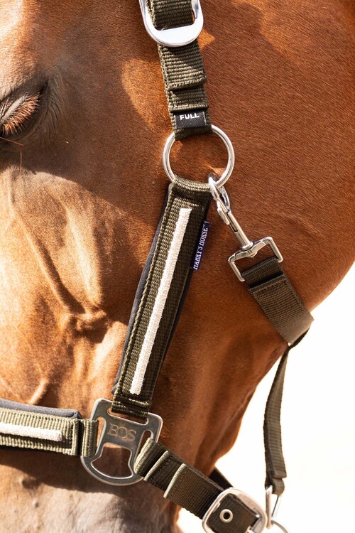 Harry's Horse Halsterset Valli