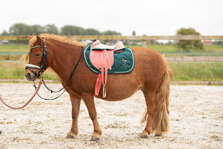 Harry's Horse Kinderzadel LouLou
