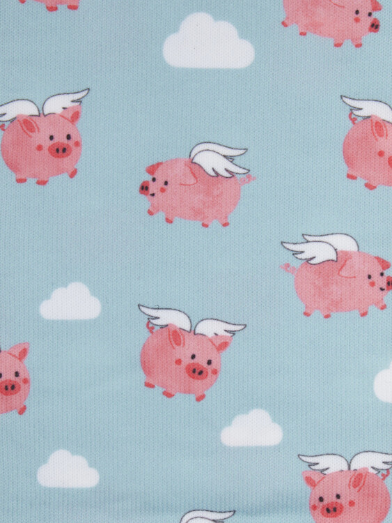 LeMieux Footsie Socks Flying Pigs
