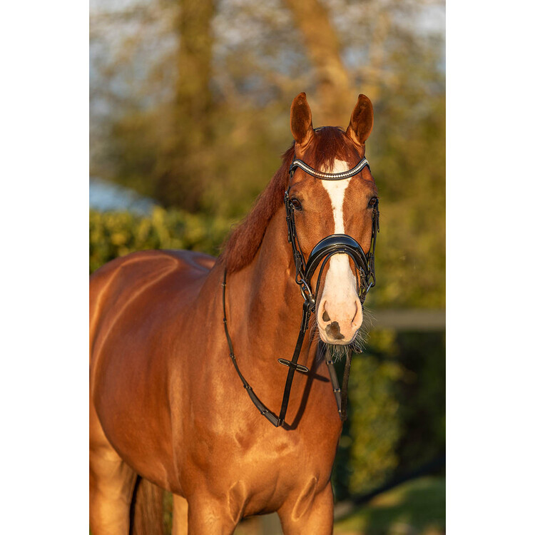 Horsegear Hoofdstel HGGreylin