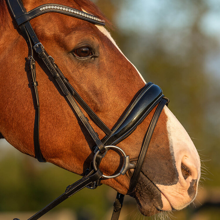 Horsegear Hoofdstel HGGreylin