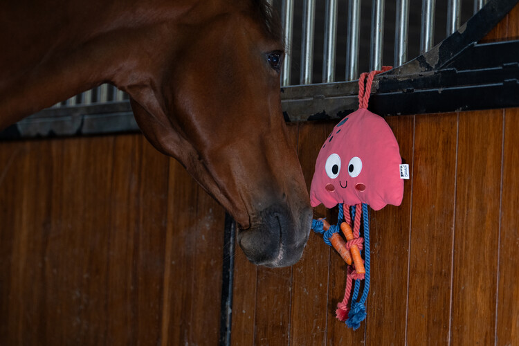 Eskadron Paardenspeelgoed Jellyfish | Classic Sports