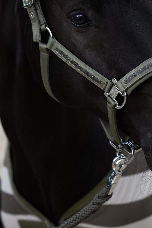 Eskadron Halster Mattgloss Jewel Double Pin | Classic Sports