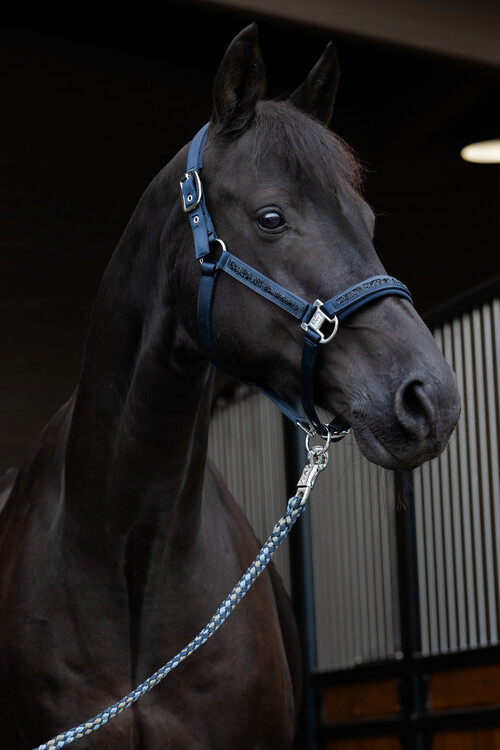 Eskadron Halster Mattgloss Jewel Double Pin | Classic Sports