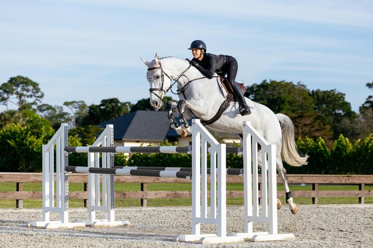 LeMieux Zadeldek Essence Soft-Shell Eurojump