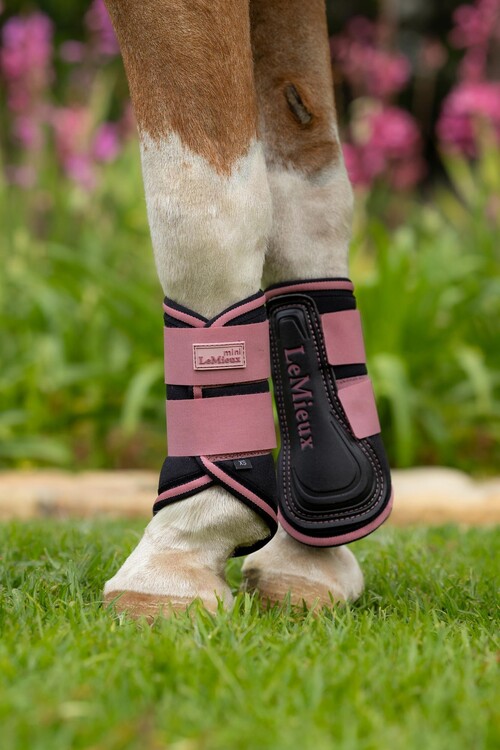 LeMieux Mini Peesbeschermers Brushing