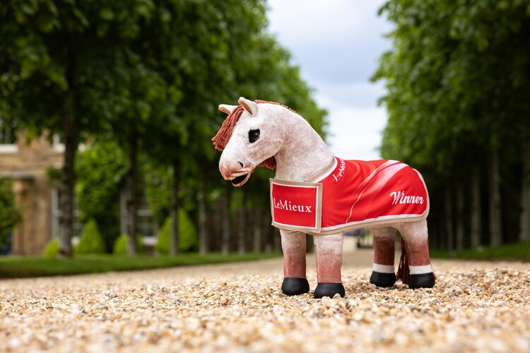 LeMieux Toy Pony Kampioensdeken 