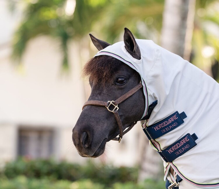 Horseware Amigo Petite Ripstop Hoody