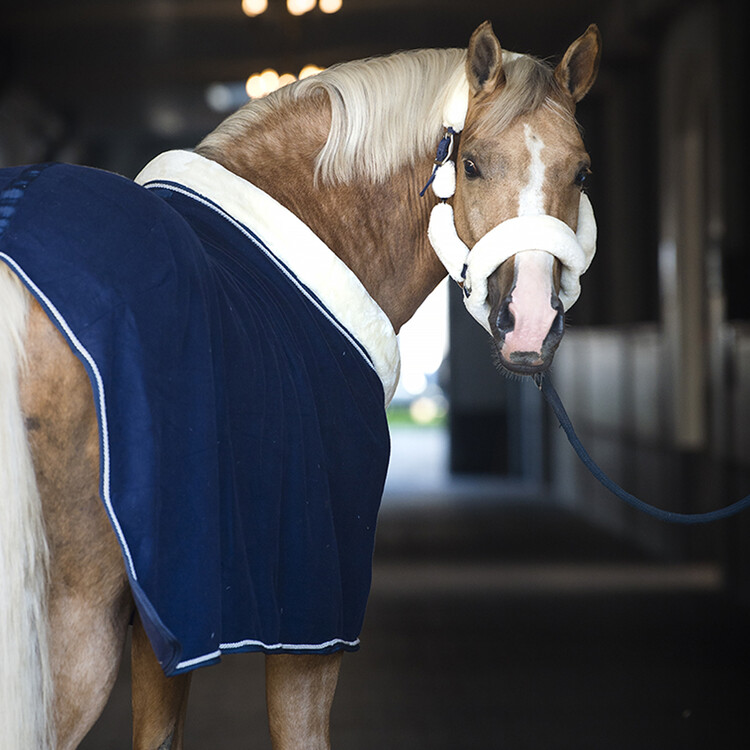 Horsegear Halster Suave